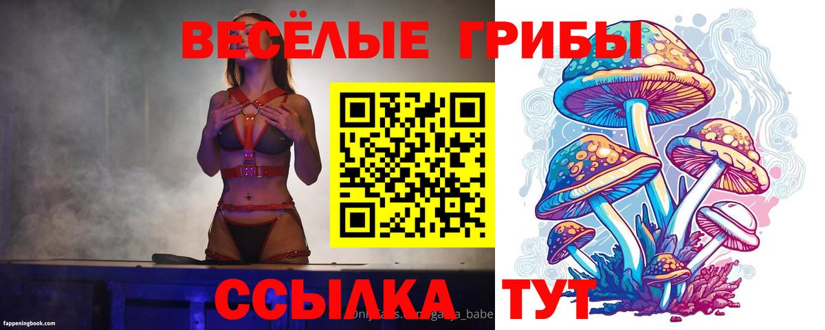 Саратов  Галлюциногенные грибы Cubensis  Псилоцибиновые грибы прущие грибы  Вход с VPN 