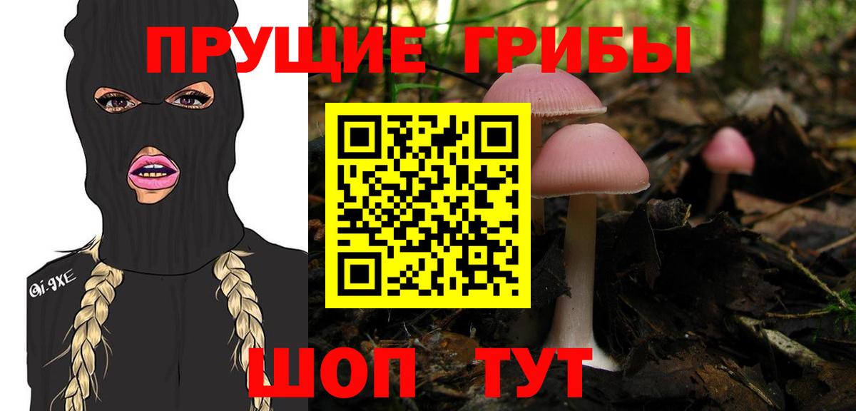 Псилоцибиновые грибы мухоморы Саратов